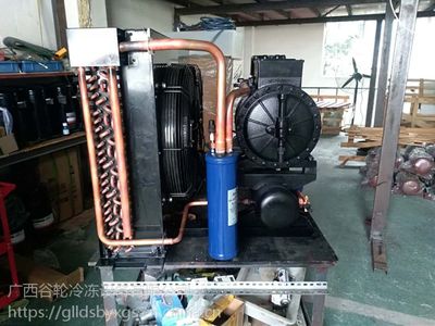 廣西、谷輪C系列制冷壓縮機(jī)
